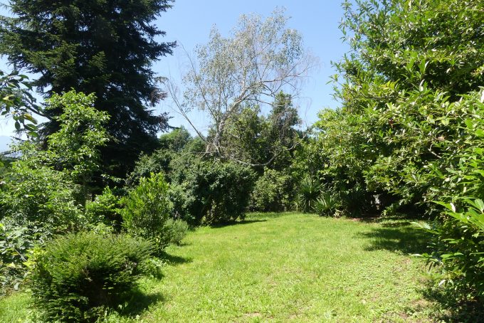 Dans-un-ecrin-de-verdure–Jardin–Cuguron—Comminges-Pyrenees