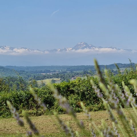 Domaine-de-l-Arpent—St-Loup-en-Comminges-Vue