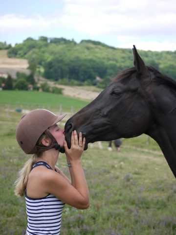 Ecurie-de-Ban—Calin—Sarrecave—Comminges-Pyrenees