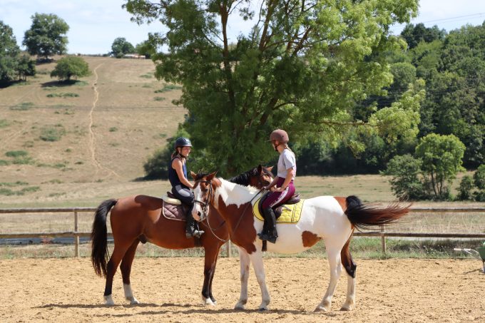 Ecurie-de-Ban—Chevaux—Sarrecave—Comminges-Pyrenees