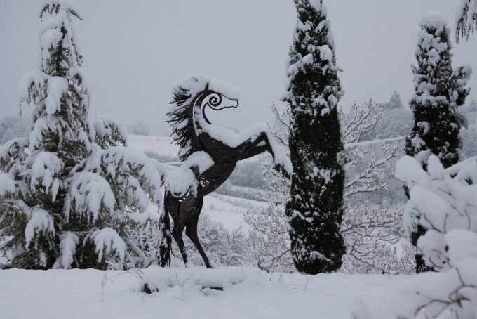 Ferme-de-Cassaret—Chambres-d-hotes—Sous-la-neige—Aurignac