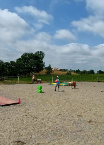 FERME EQUESTRE LES COLLINES D’EPONA