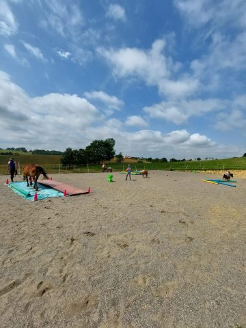 Ferme-equestre-les-collines-d-epona–Cassagnaberes-tournas–aurignac–comminges