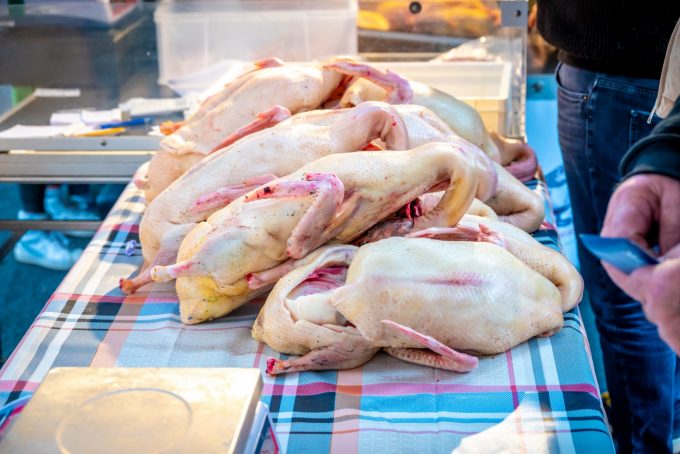 GAEC-des-2-freres—Canard