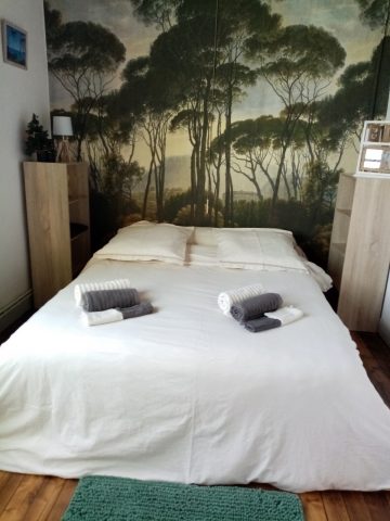 Gite-Menthe-a-l-eau–4—Ciadoux—Comminges-Pyrenees