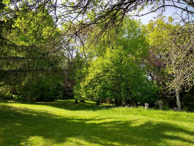 Gite-Pyrenees-View—Jardin—Saint-Gaudens