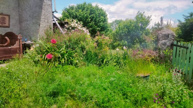 Gite-de–la-loutre—Pointis-Inard-Jardin–Comminges-Pyrenees