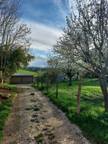 Gite-des-collines—chemin-acces—Cassagnabere-Tournas—Comminges-Pyreenees