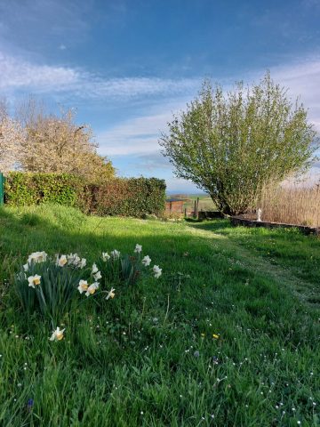 Gite-des-collines–jardins—Cassagnabere-Tournas—Comminges–Pyreenees