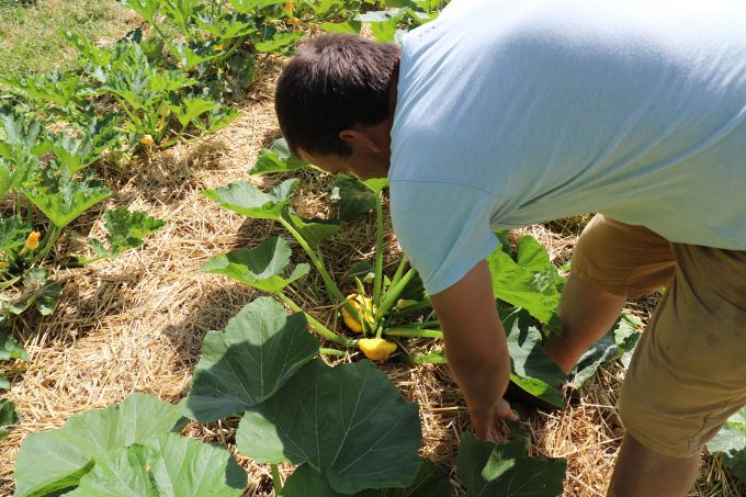 Jardin-du-Flouran-CommingesPyrenees