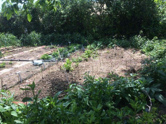 La-Grande-Maison—Anan—Potager-Comminges-Pyrenees