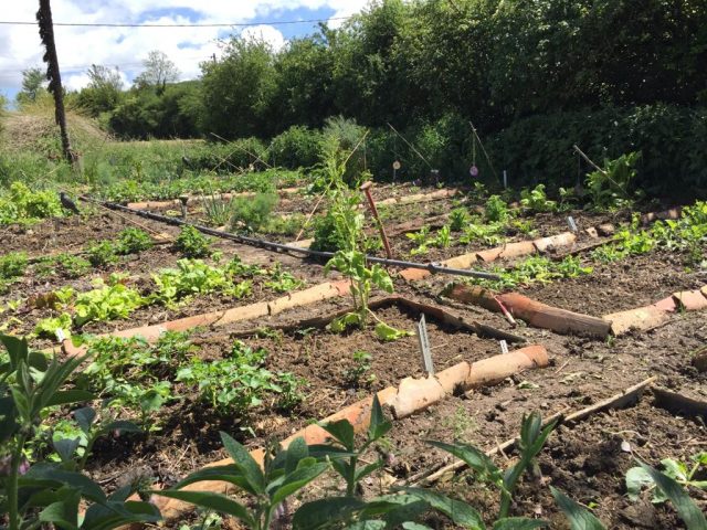 La-Grande-Maison—Anan–Potager–Comminges-Pyrenees-2