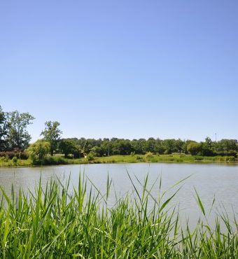 LAC DE L’ISLE EN DODON