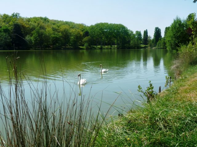 Lac-de-Boulogne–Mairie-BOULOGNE