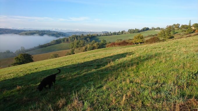 Le-Paradis—Paysage–Saint-Frajou—Comminges-Pyrenees