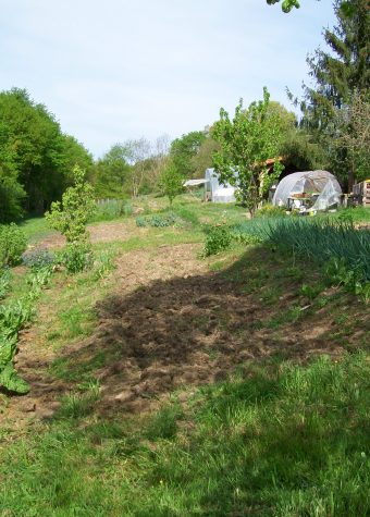 LÉGUMES DE LA COSTO