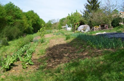 LÉGUMES DE LA COSTO