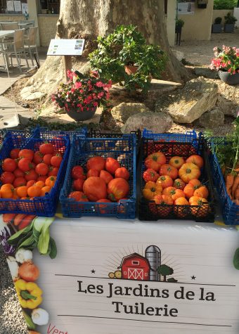 LES JARDINS DE LA TUILERIE