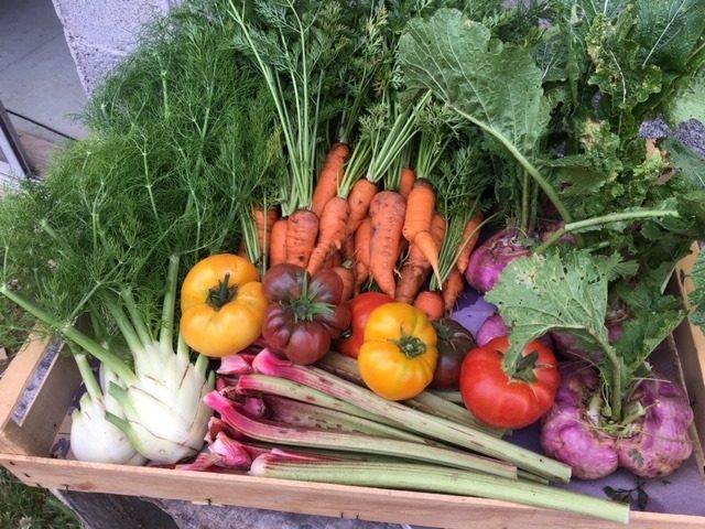 Les-jardins-de-la-tuilerie-Terrebasse-panier-legumes