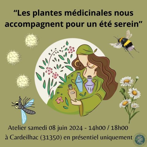 Les-plantes-medicinales-de-l-ete-Cardeilhac-Comminges-Pyrenees