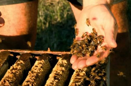 MIELLERIE SARNIGUET FRERES