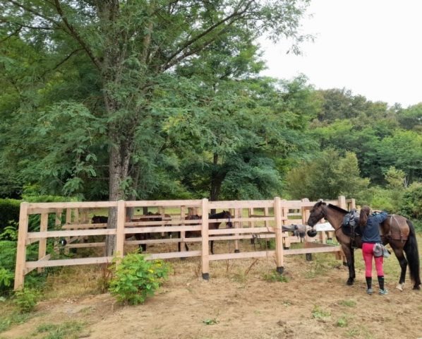 Paddock-Aurignac-2025-1