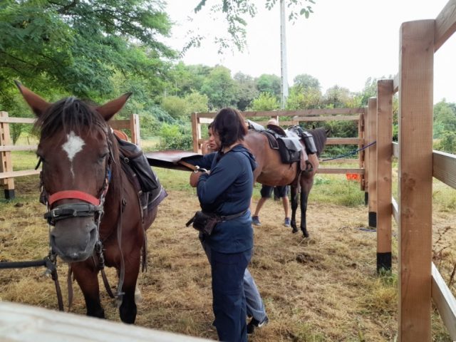Paddock-Aurignac-2025-3b