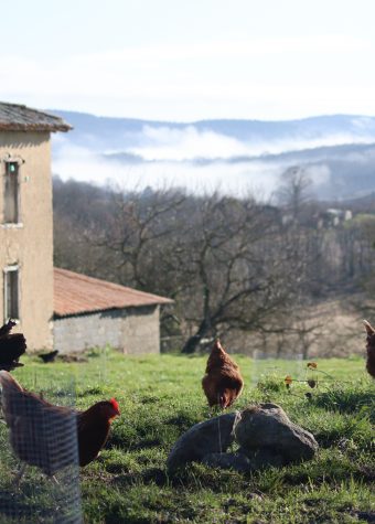 GAEC RAMOUNAS LES ESTRAOUS