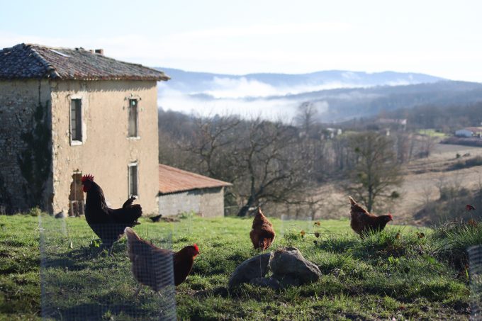 Producteur-local-Ramounas-Comminges-Pyrenees