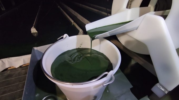 Recolte-de-la-spiruline