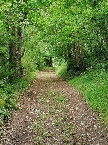 Sentier-Botanique-a-Aurignac-2