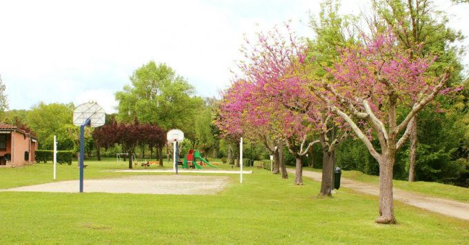 TERRAIN-DE-BASKET-ET-VUE-AIRE-DE-JEU