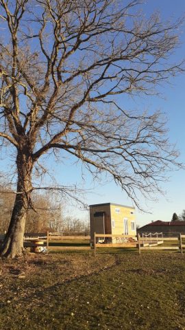 Tiny-House—Le-Cocon-est-dans-le-pre—Boudrac-