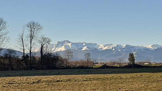 Tiny-House—Le-Cocon-est-dans-le-pre—Les-Pyrenees—Boudrac-