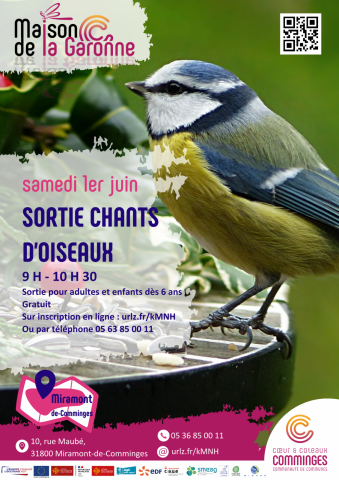 Visuel-Chants-d-oiseaux-MG-1—1-