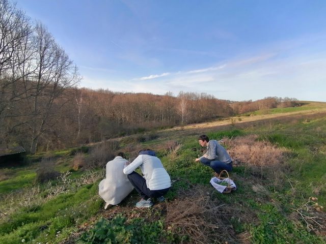 Yourte-Du-gite-a-la-terre-Cueillette—Saint-Gaudens—Comminges-Pyrenees