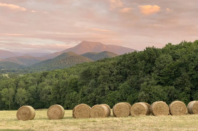 aether-cagire–rieucaze–centre-de-ressourcement–vue-sur-les-pyrenees