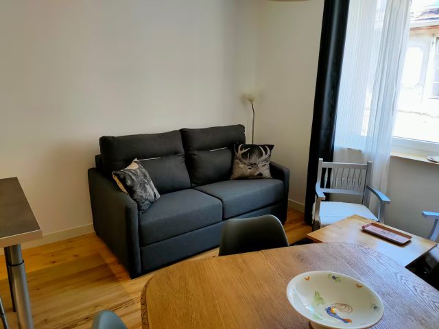 appartement-bru-le-Flocon-Thermal–1-