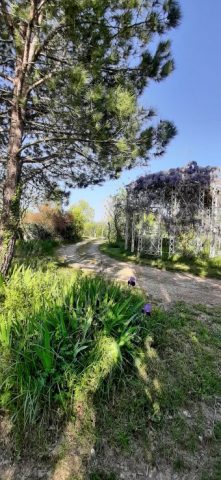 camping-1-LA-COMMUNION-LATOUR