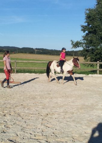 CENTRE EQUESTRE DE LA NOUE