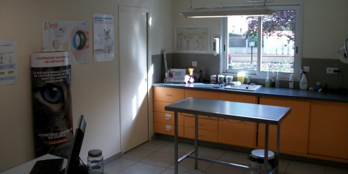 clinique-veterinaire-boulogne-sur-gesse