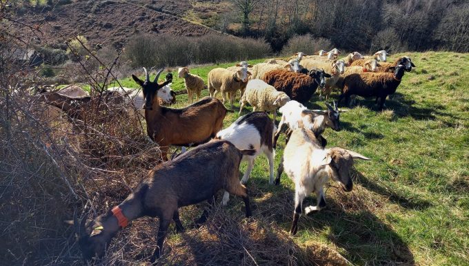 ferme-de-arroutis
