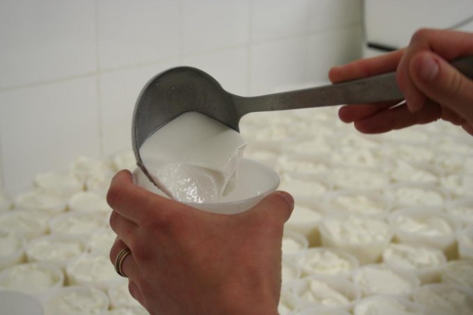 gite-capdelmail-cierpgaud-pyrenees31–4-