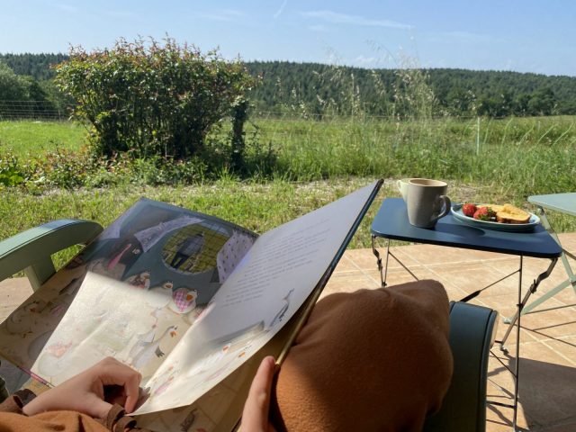 le-repaire-de-la-reveuse–Saint-Frajou–chambre-d-hotes–vue-Pyrenees–deconnexion–detente–lecture–livres–bouquinerie–enfants–nature
