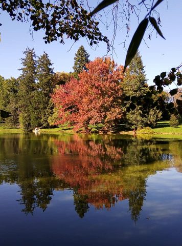 parc-valmirande