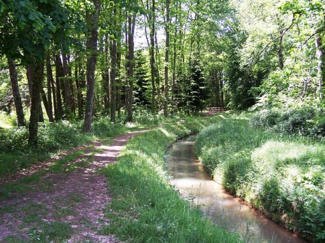 sentier-de-l-arboretum–cardeilhac–chef-canton-ref–balade–randonnee-pedestre–comminges–pyrenees–haute-garonne