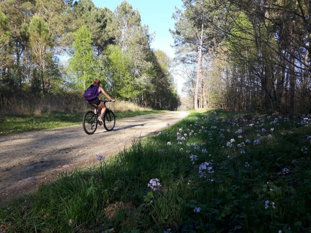 velo-cardeilhac-saint-gaudens-foret-lodes-sentier-du-canal–8-