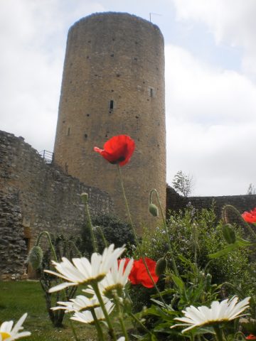 visite-5-AURIGNAC