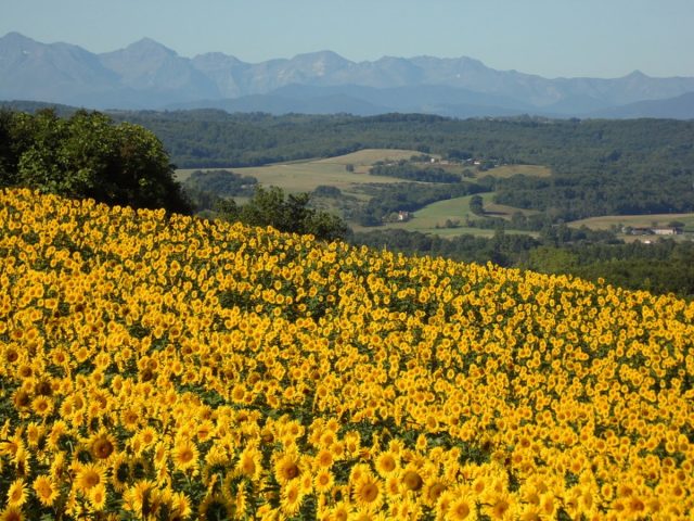 vue-camping-LA-COMMUNION-LATOUR